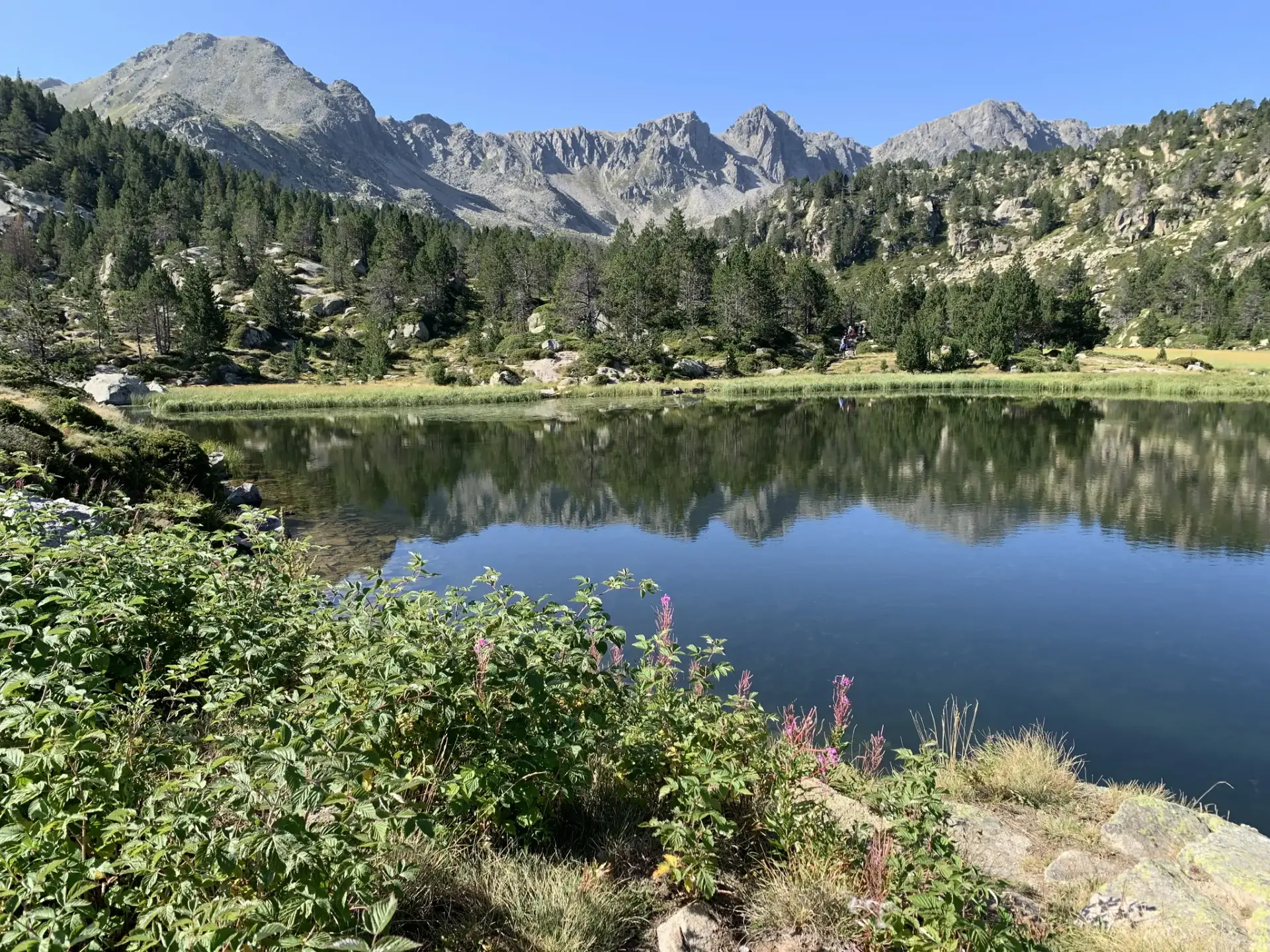 Estany Primer de Pessons amb el bosc i les muntanyes reflectits a l'aigua, Andorra