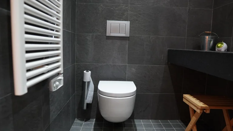 Bany de l'habitació 5